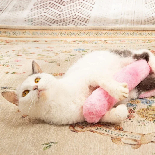 Weiße Katze spielt mit rosa Plüschspielzeug auf gemustertem Teppich.