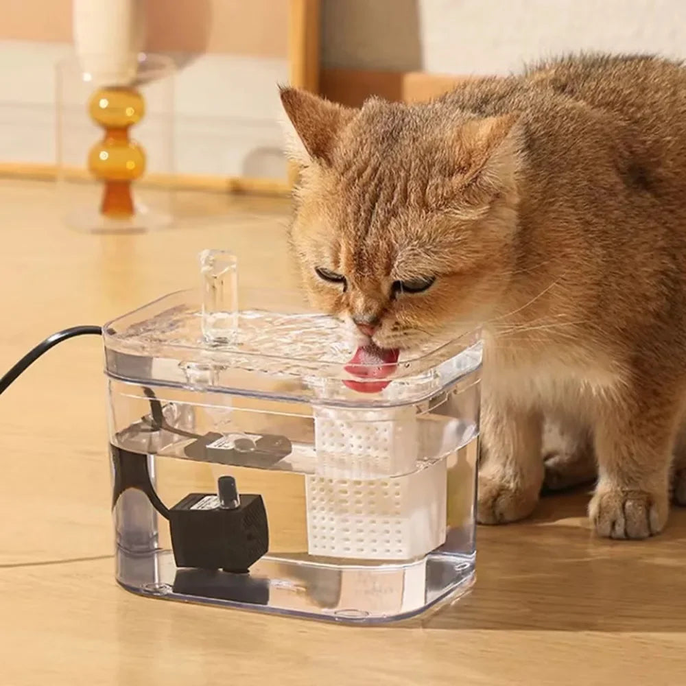 Katze trinkt aus transparentem Katzenbrunnen, automatischer Wasserspender, Haustierbedarf.