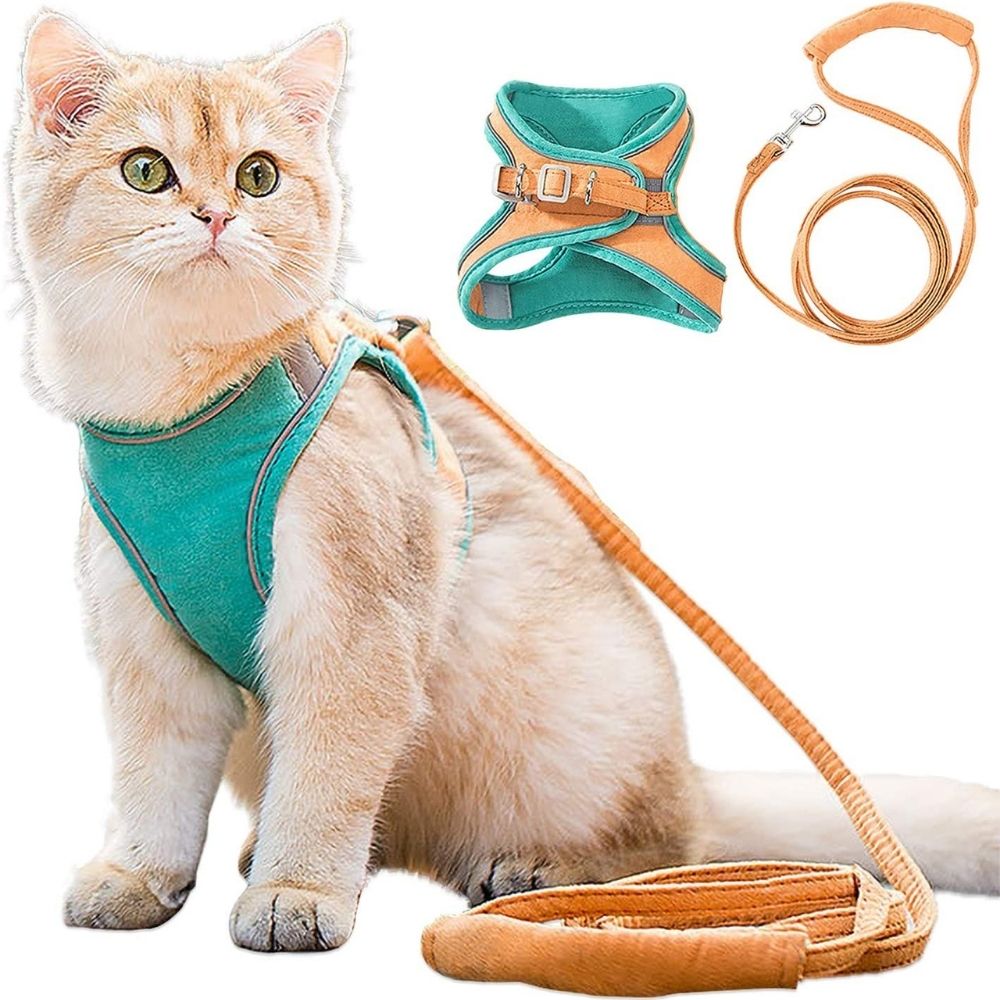 Katzen-Geschirr Set, türkis-orange, verstellbar, mit Leine, für Spaziergänge, Haustierbedarf.