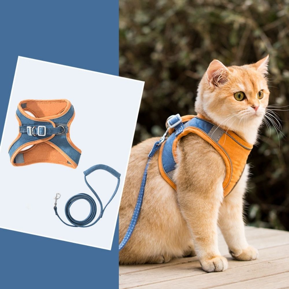 Orange Katzen-Geschirr mit Leine, atmungsaktiv, verstellbar, für Spaziergänge im Freien.