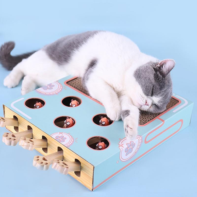 Schlafende Katze auf interaktivem Spielzeug, blau, mit Löchern und Kratzfläche, für Katzen.