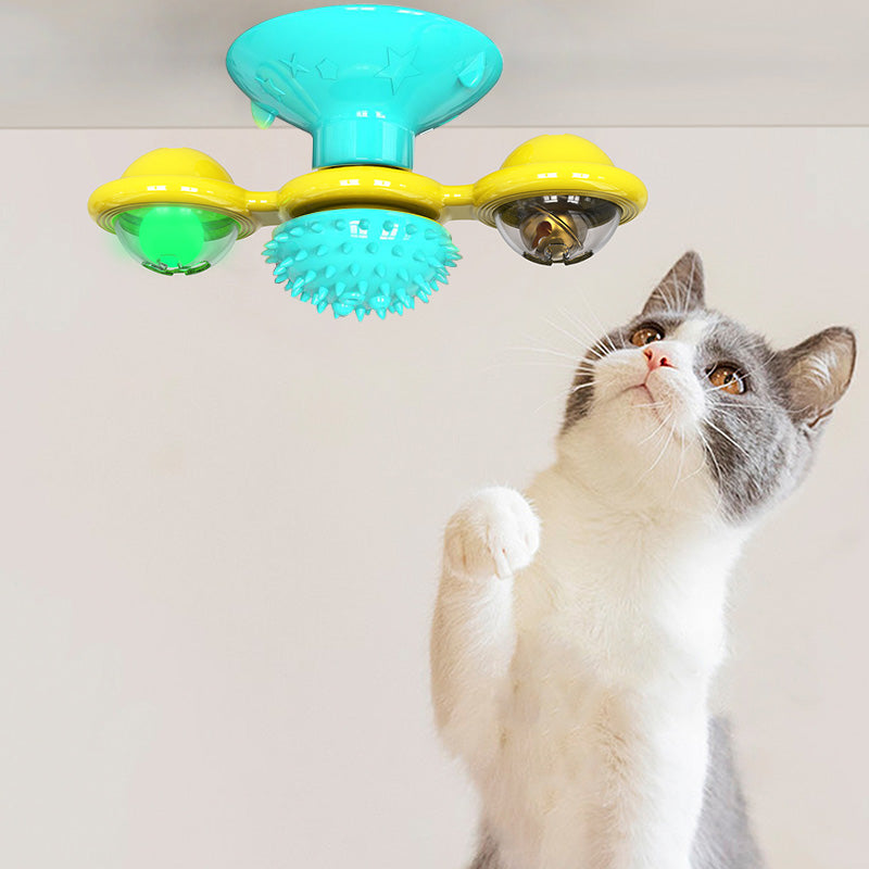 Graues Kätzchen spielt mit gelbem und blauem interaktivem Katzenspielzeug an der Decke.