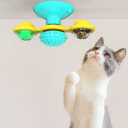 Graues Kätzchen spielt mit gelbem und blauem interaktivem Katzenspielzeug an der Decke.