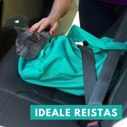 Graue Katze in grünem Transporttasche auf Autositz, Hand streichelt, Sicherheitsgurt befestigt.