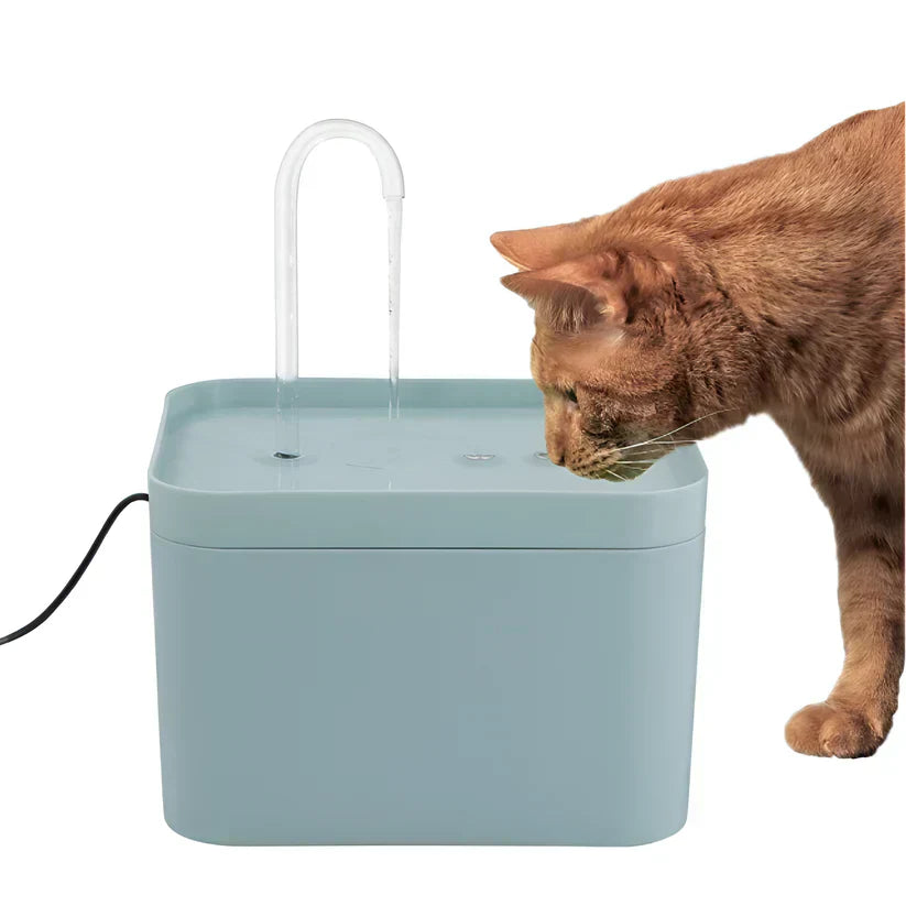 Katzenbrunnen aus Kunststoff, türkis, mit Trinkschale und Wasserhahn, Katze trinkt.