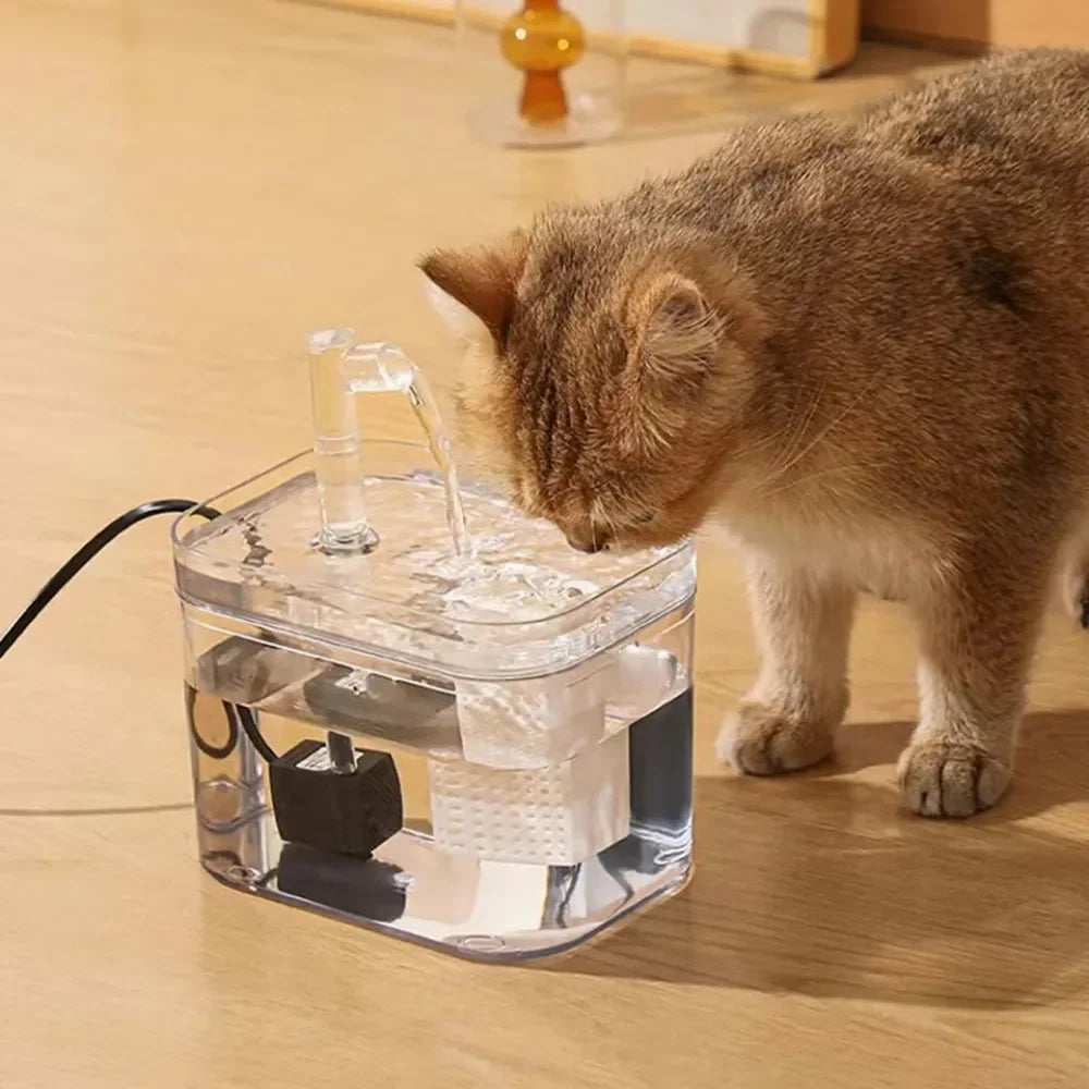 Katze trinkt aus transparentem Katzenbrunnen, automatischer Wasserspender, Heimtierbedarf.