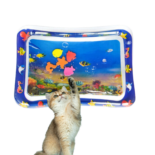 Katze spielt mit buntem Wasserspielzeug, Fischdesign, interaktives Katzenspielzeug, blau.