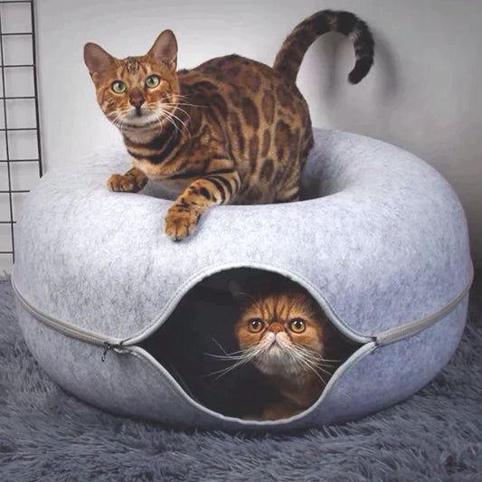 Zwei Katzen auf und in grauem Filz-Katzenbett, rund, mit Reißverschluss, auf Teppich.