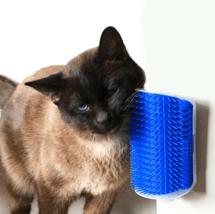 Katze reibt sich an blauer Katzenbürste, Wandmontage, Fellpflege, Haustierzubehör.