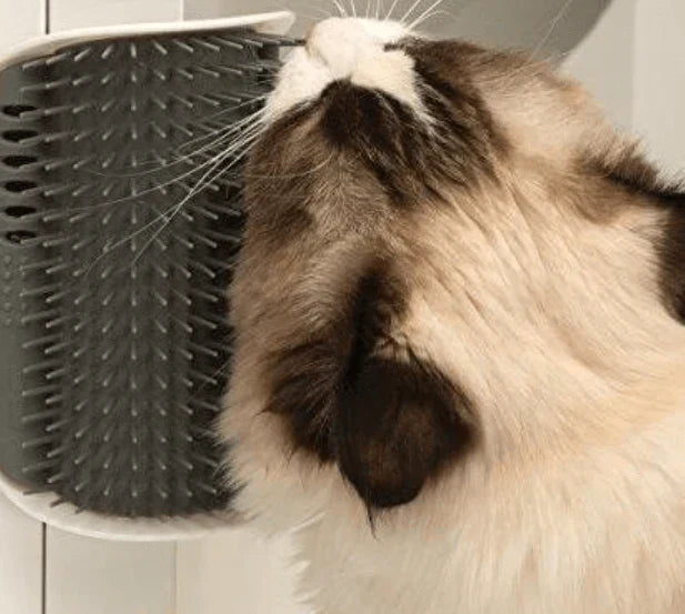 Katze reibt sich an grauer Wandbürste, Fellpflege, Haustierzubehör, Selbstpflegebürste.