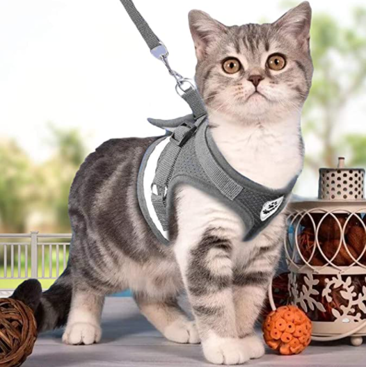 Graues Katzengeschirr mit Leine, reflektierend, für Spaziergänge, bequem und sicher.