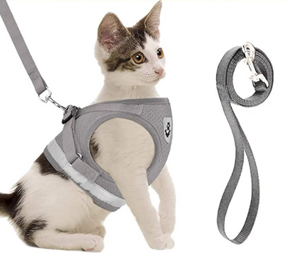 Graues Katzengeschirr mit Leine, atmungsaktiv, verstellbar, für Spaziergänge und Sicherheit.