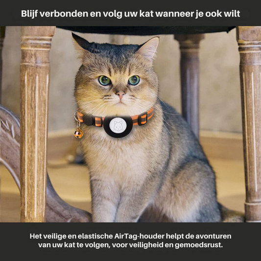 Braun-graue Katze mit AirTag-Halsband, elastisch, orange-schwarz, unter Holztisch.