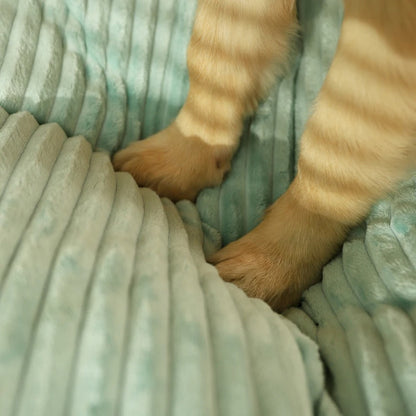 Katzenpfoten auf weicher, gerippter, hellgrüner Decke, Haustierkomfort, Heimtextilien.