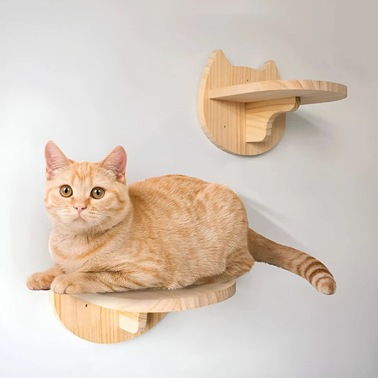 Beige Katze auf hölzernem Wandregal, Katzenmöbel, modernes Design, Heimdekoration.