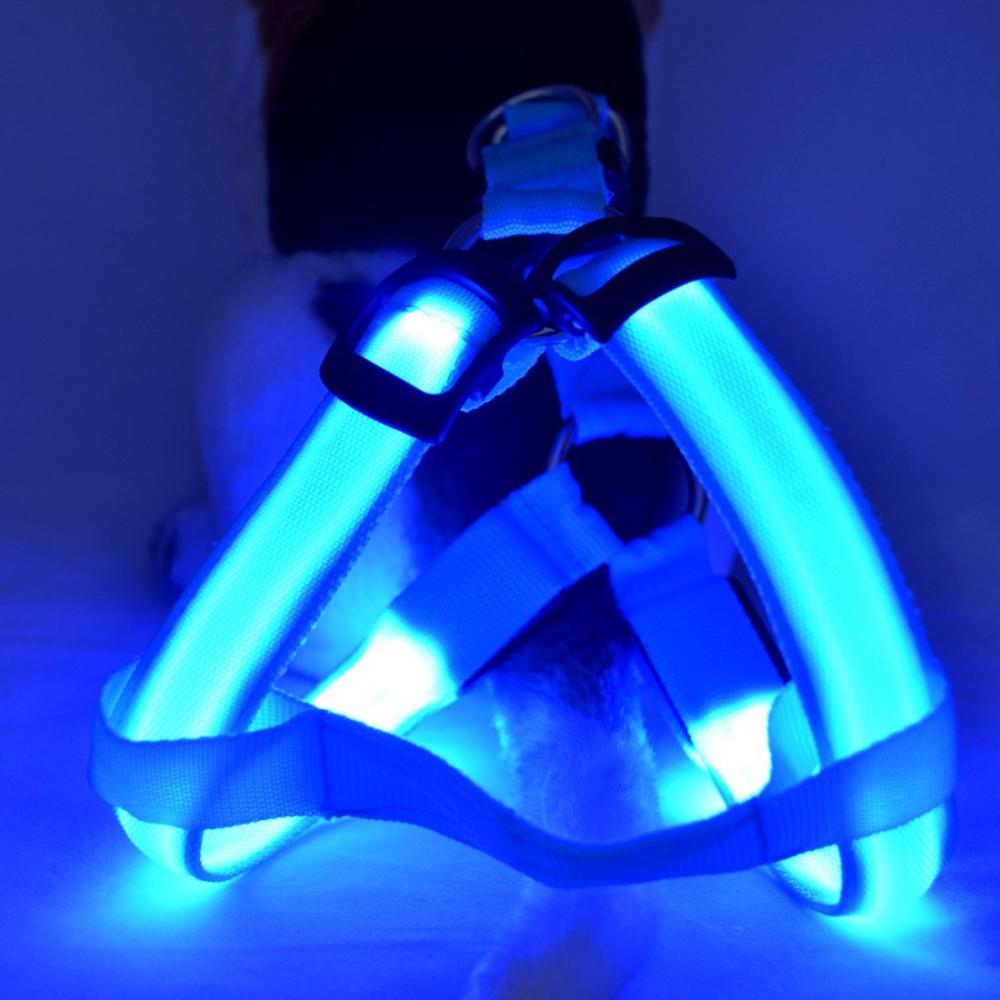 Leuchtendes LED-Hundegeschirr, blau, verstellbar, für Nachtspaziergänge, Sicherheit.