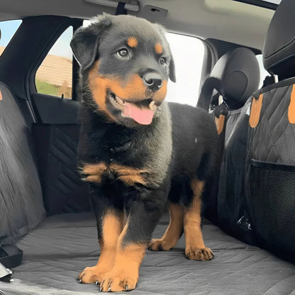 Rottweiler-Welpe steht mit offenem Maul auf der schwarzen Liegefläche der Rückbankauflage, rechts eine Netztasche an der Seitenwand. 10