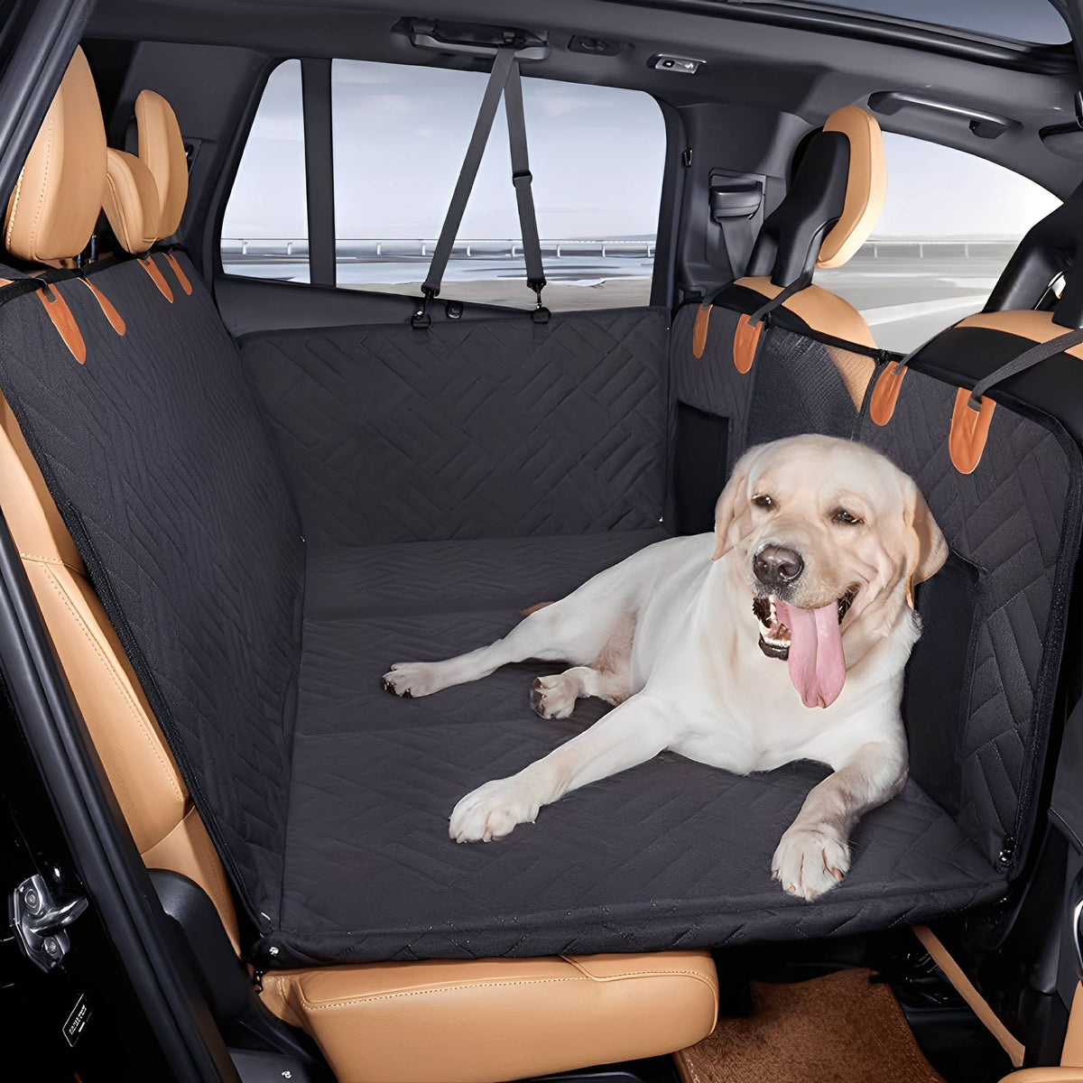 Schwarze, gesteppte Hunde-Rückbankverlängerung im Auto, auf der ein heller Labrador mit hängender Zunge ausgestreckt liegt. 1