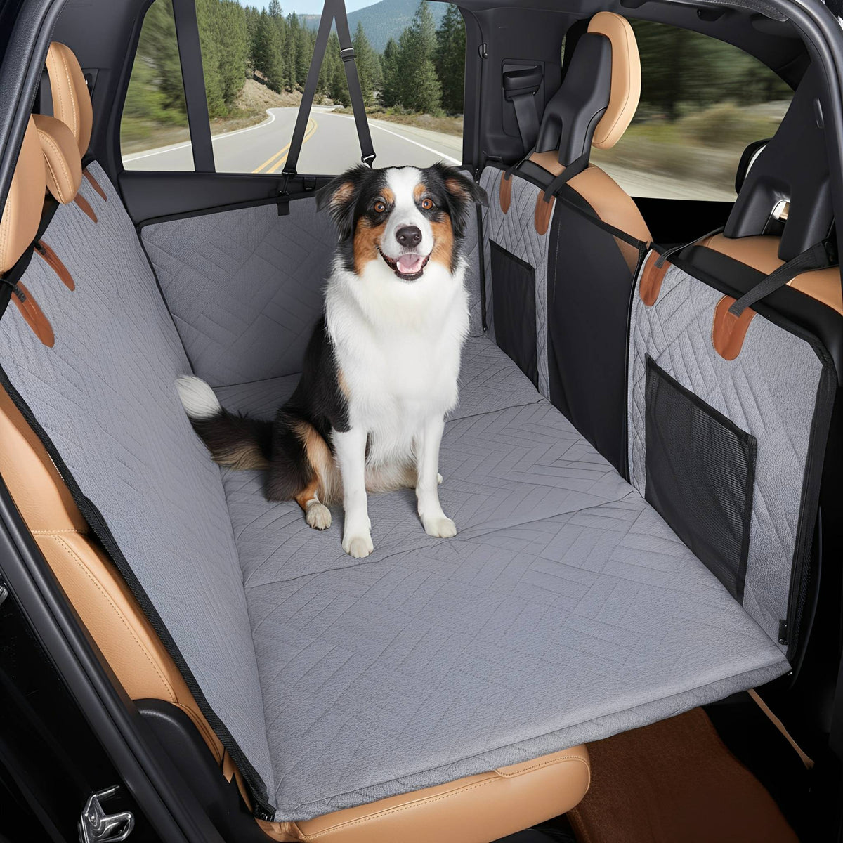 Graue Variante der Rückbankverlängerung, auf der ein sitzender Australian Shepherd in die Kamera schaut, im Hintergrund eine Landstraße. 11
