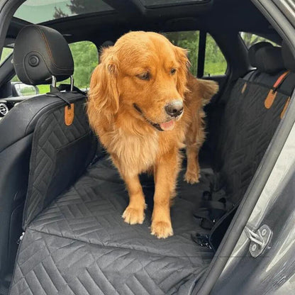 Goldener Retriever steht auf der schwarzen, gesteppten Sitzverlängerung auf der Rückbank, mit Seitenwänden und orangefarbenen Laschen an den Kopfstützen. 5