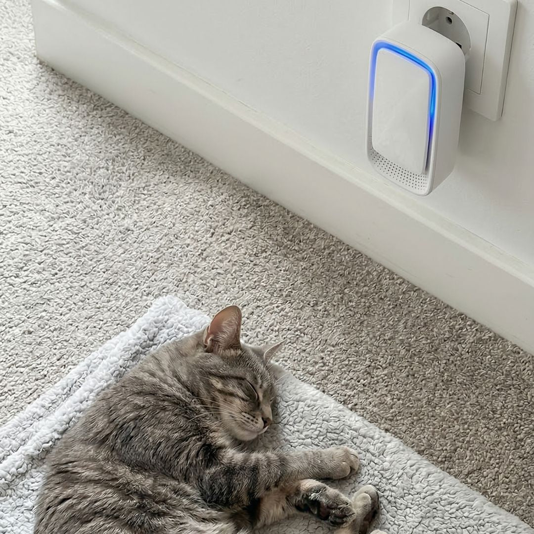 Gerät mit blau leuchtendem Rand in der Steckdose über einer schlafenden getigerten Katze auf einer Decke 4