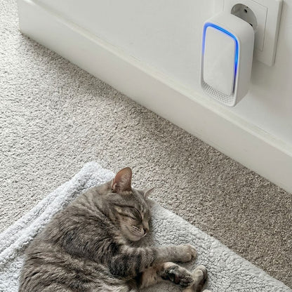 Gerät mit blau leuchtendem Rand in der Steckdose über einer schlafenden getigerten Katze auf einer Decke 4