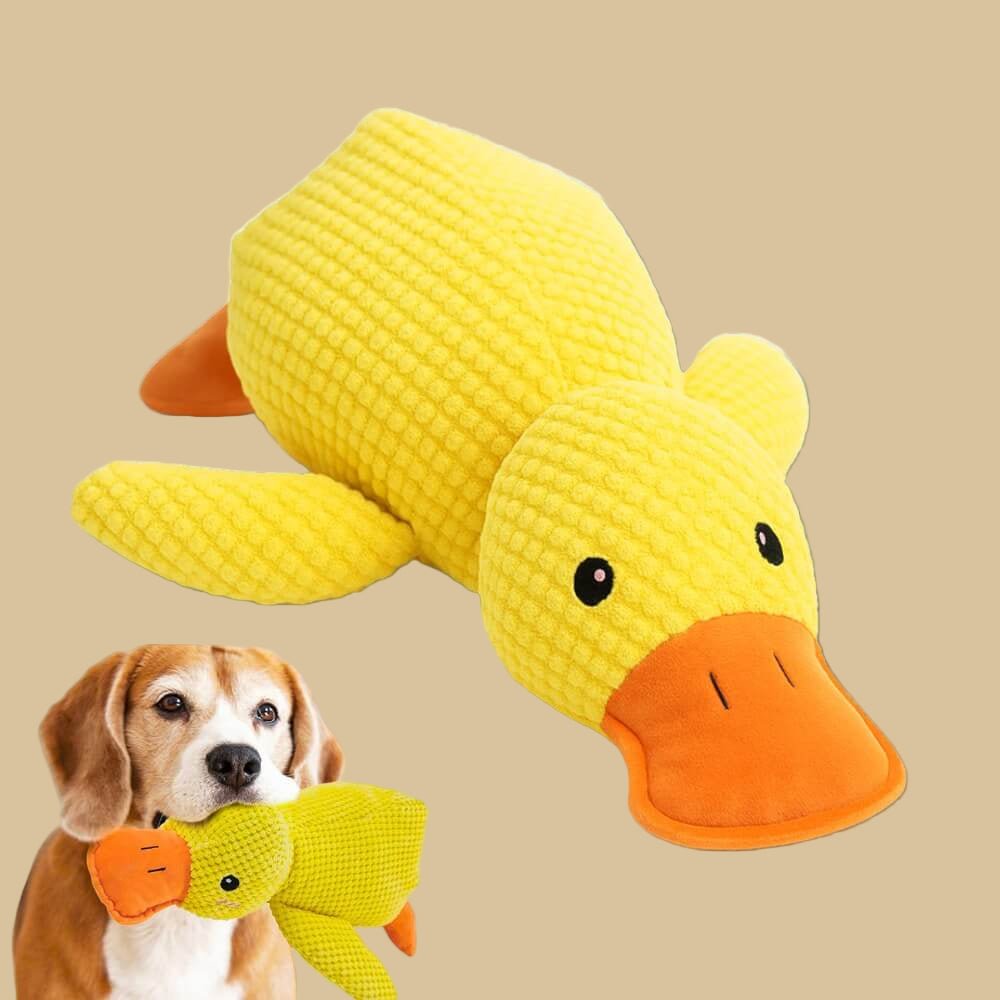 Freigestellte gelbe Plüschente auf beigem Grund, unten links trägt ein Beagle eine Ente im Maul 3