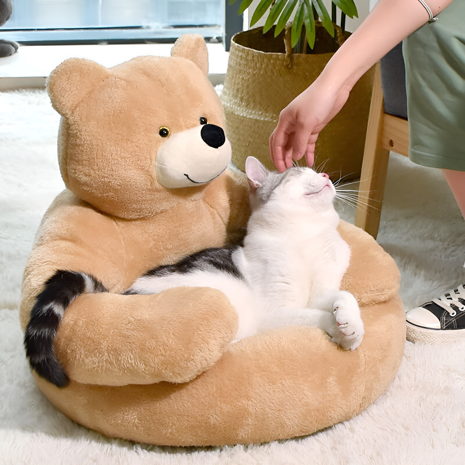 Plüsch-Bärenbett für Katzen, beige, gemütlich, Haustierbett, weiches Material, Wohnzimmer.