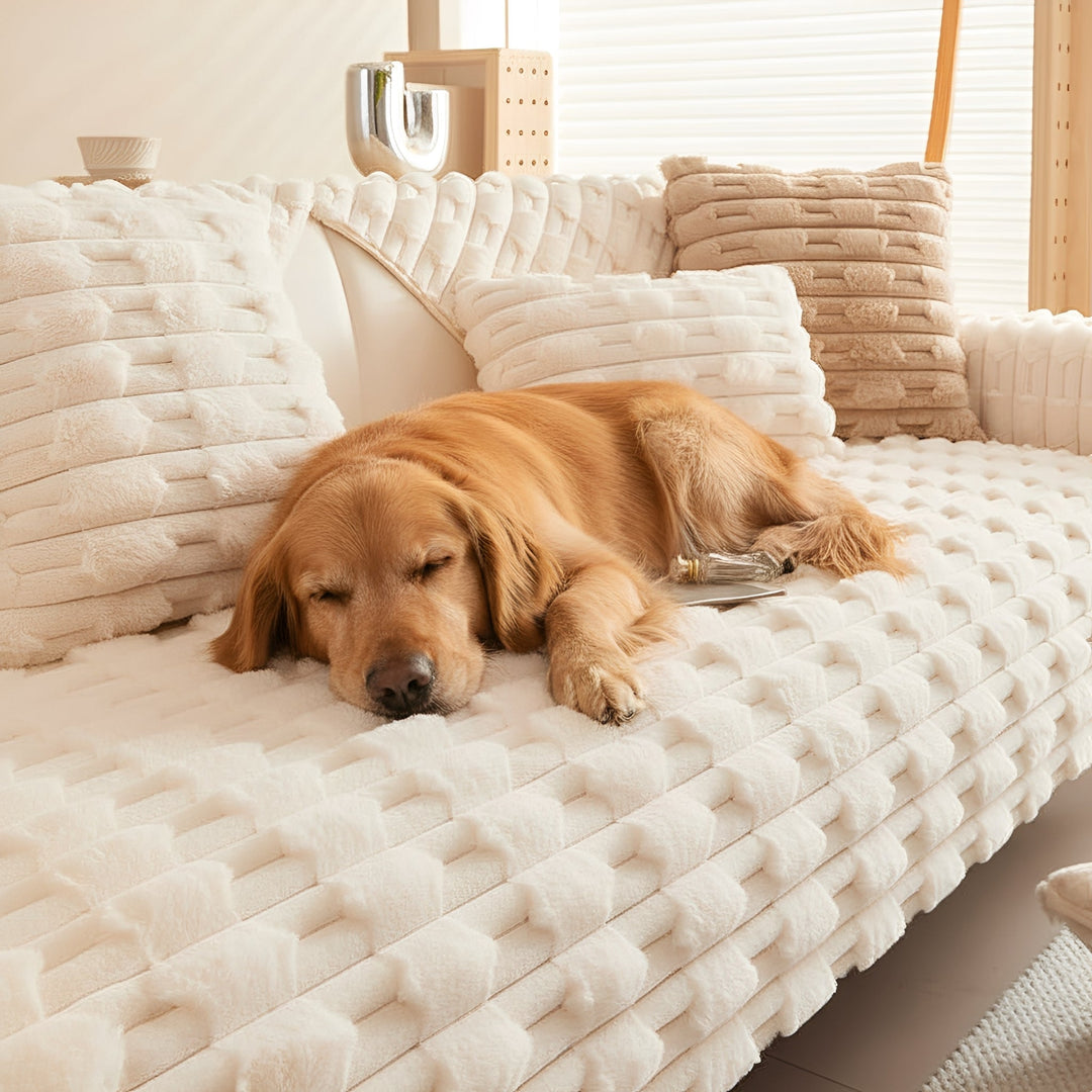 Ein goldfarbener Hund schlĂ¤ft eingekuschelt auf der cremeweiĂźen, plĂĽschigen Sofadecke mit erhabenem Muster neben passenden Kissen. 1