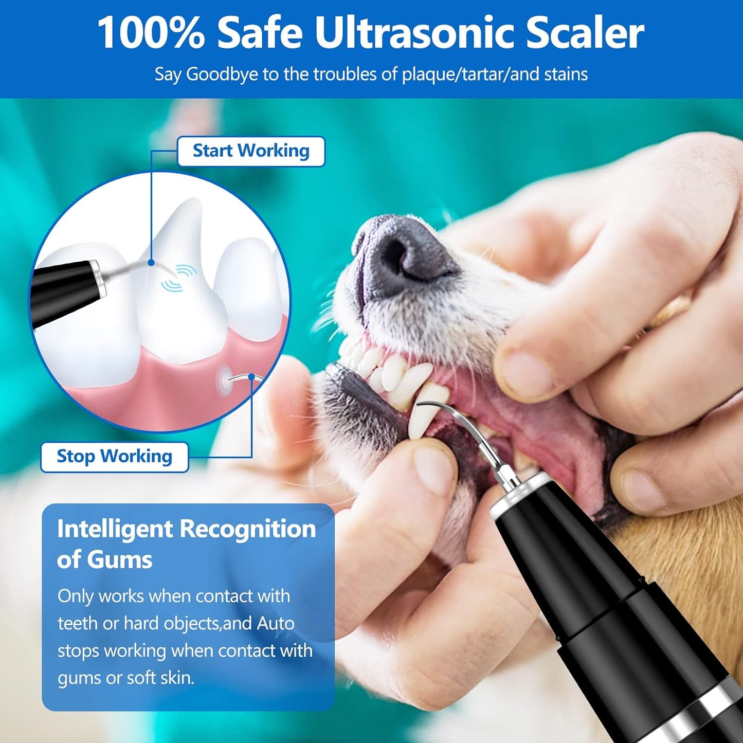 Ultraschall-Zahnreiniger für Hunde, sicher, Plaque-Entferner, Zahnstein, Tierpflege.